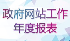政府網(wǎng)站工作年度報表